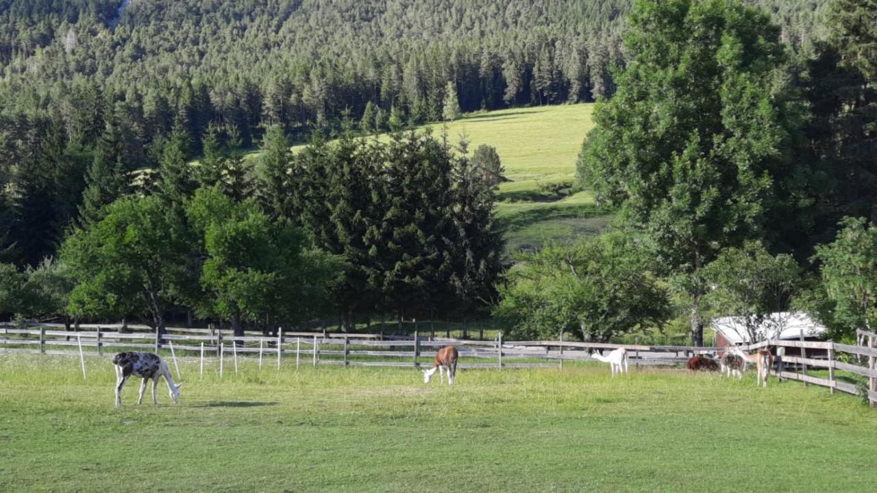 Naturidyll Brunner Kostendorf 外观 照片